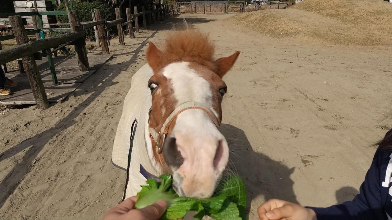 海辺のゲストハウスーぽかぽか村ー อิเสะ ภายนอก รูปภาพ