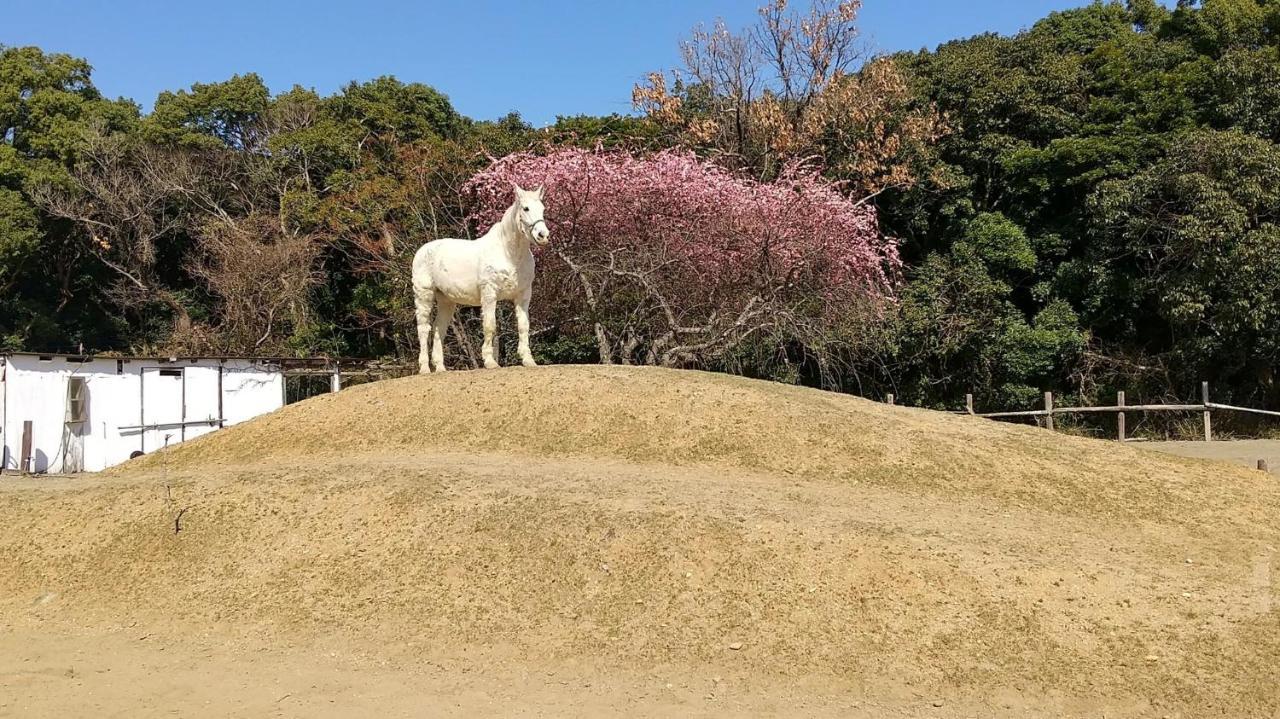 海辺のゲストハウスーぽかぽか村ー อิเสะ ภายนอก รูปภาพ